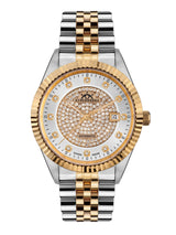 Swiss Brilliance Gold IP Silber Two Tone